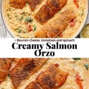 Fully cooked salmon orzo in a braising pan with the text, "creamy salmon orzo".