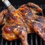 A grilled spatchcock chicken being basted on the grill.