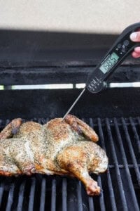 A digital thermometer inserted into a grilled spatchcock chicken to check the temperature.