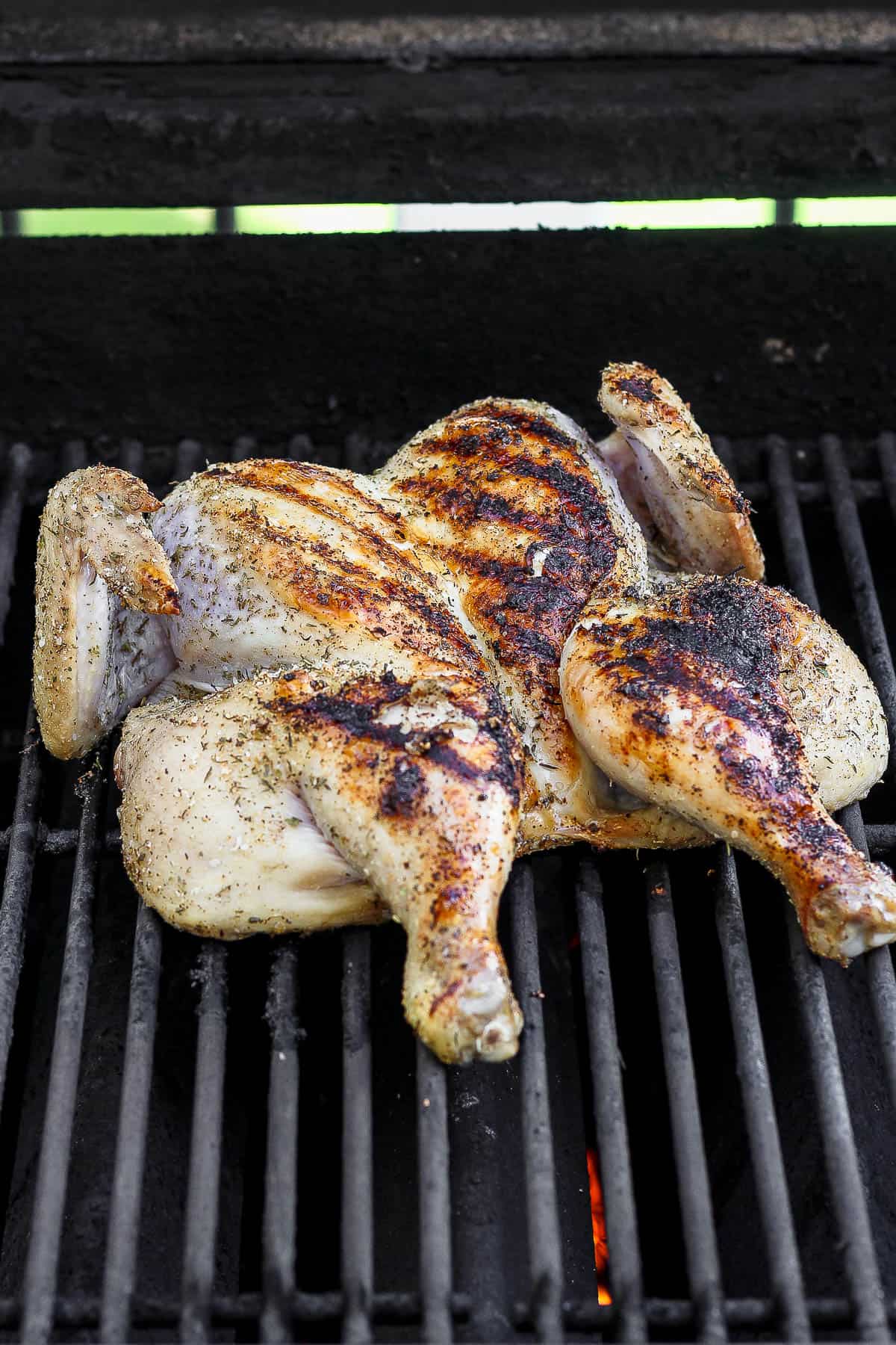 A grilled spatchcock chicken on the grill after being flipped.