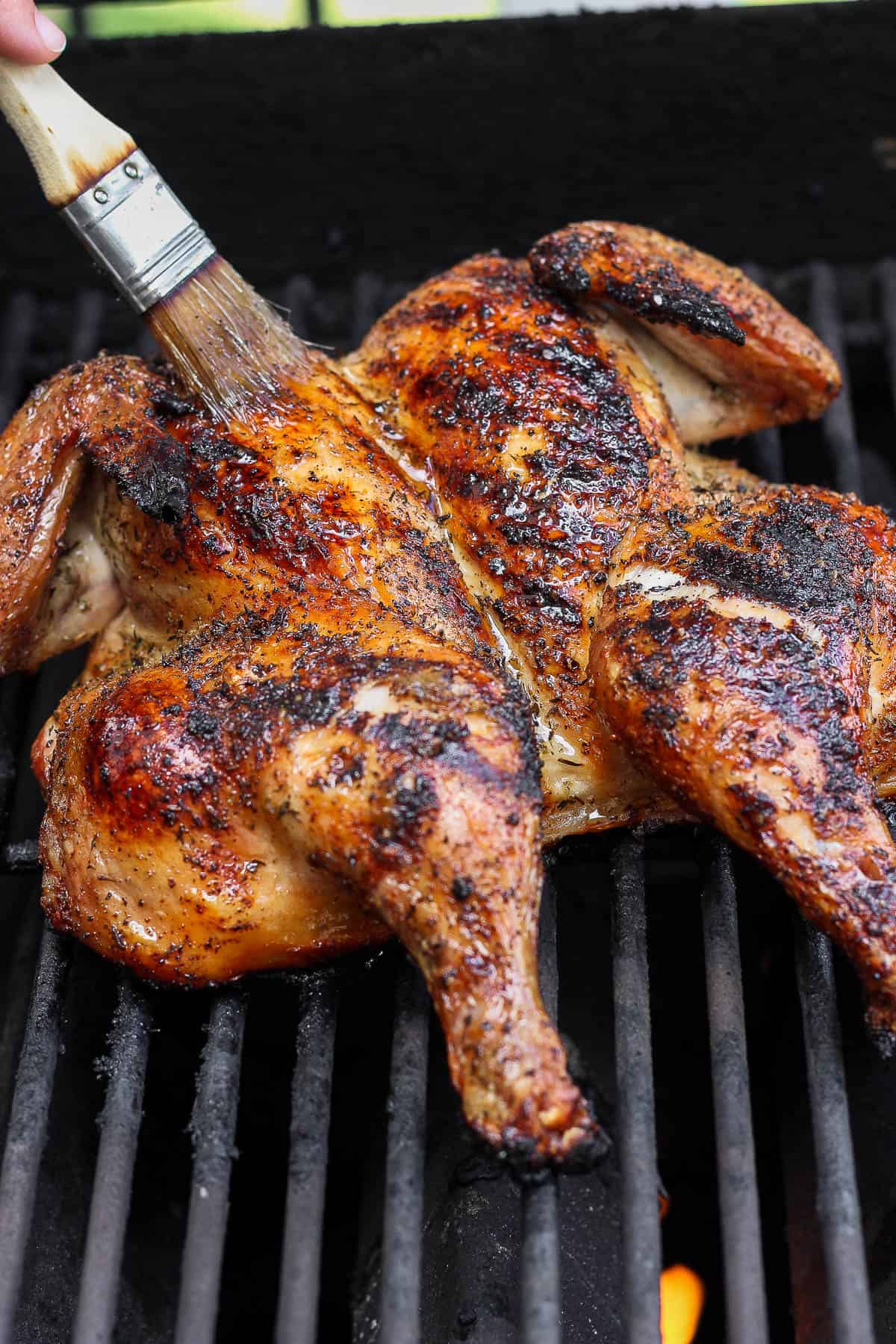 Oil being brushed on a grilled spatchcock chicken on the grill.