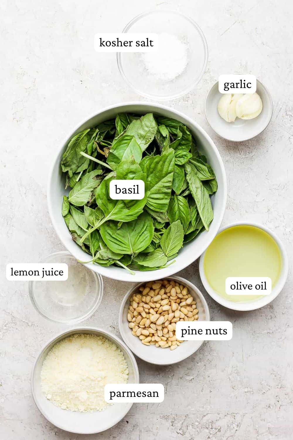 Basil pesto pasta ingredients of fresh basil leaves, salt, parmesan, pine nuts, olive oil, and lemon juice.
